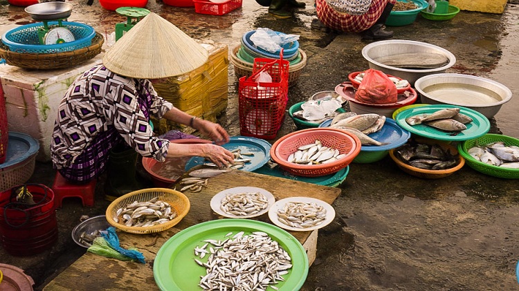 que voir marche poissons vietnam hoi an
